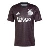 Officiële Voetbalshirt Ajax Pre-Match 2024-25 - Heren